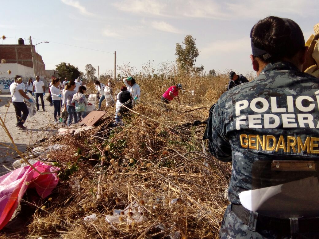 Policía Federal ayuda a limpiar la ciudad