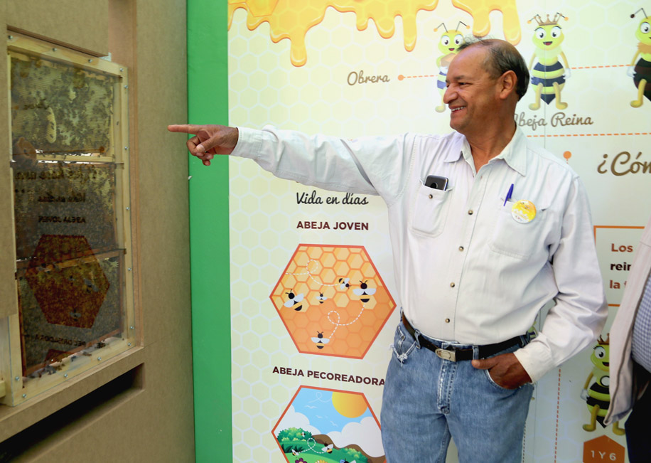 La exposición muestra la importancia del trabajo de las abejas.