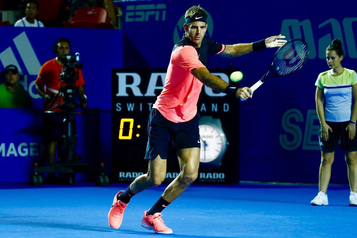 Juan Martín del Potro jugará las Semifinales de Acapulco 