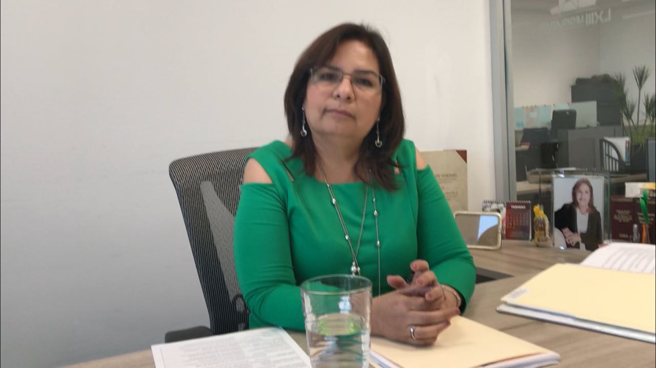 Beatriz Manrique Guevara, coordinadora del grupo parlamentario del  Partido Verde Ecologista de México en el congreso local.