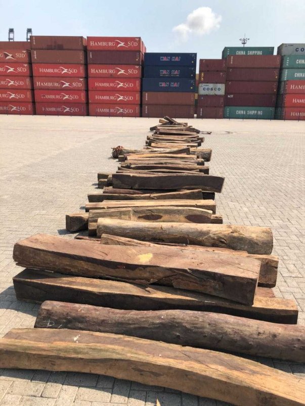 La Profepa inició un procedimiento administrativo en contra del exportador de la madera ilegal.