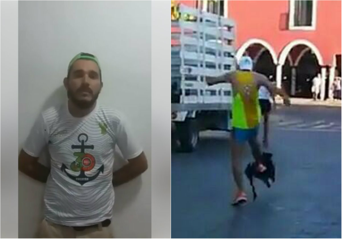Manuel Alcocer ofrece disculpas por patear a un perrito 
