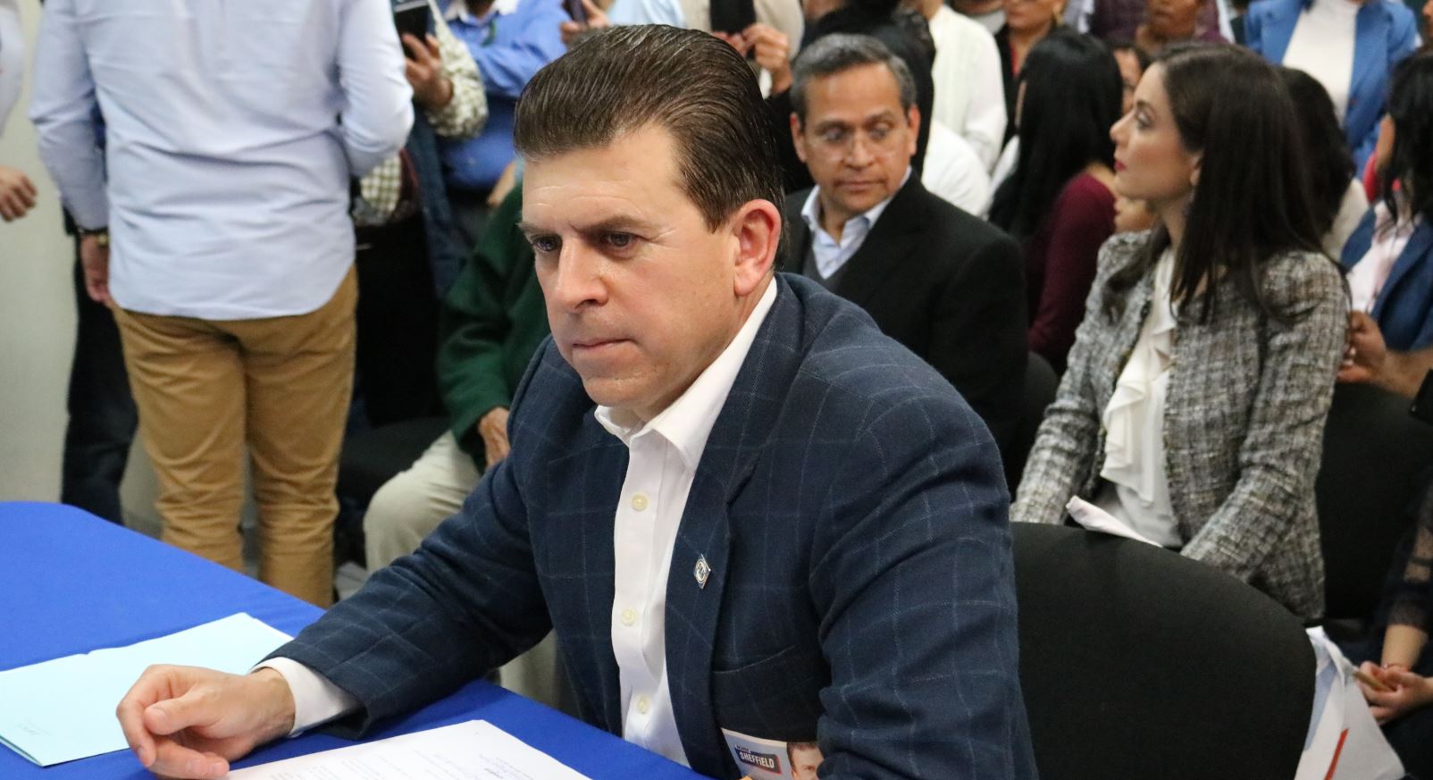Ricardo Sheffield, diputado federal 