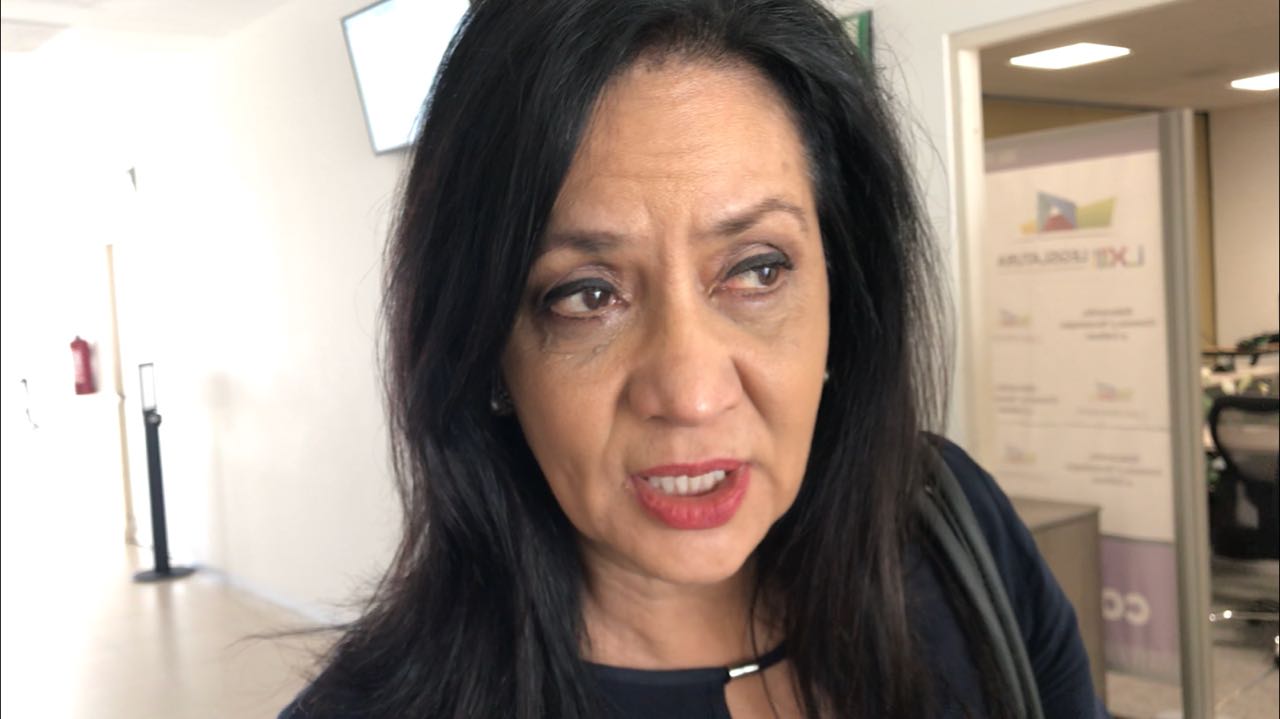 La diputada Leticia Villegas Nava