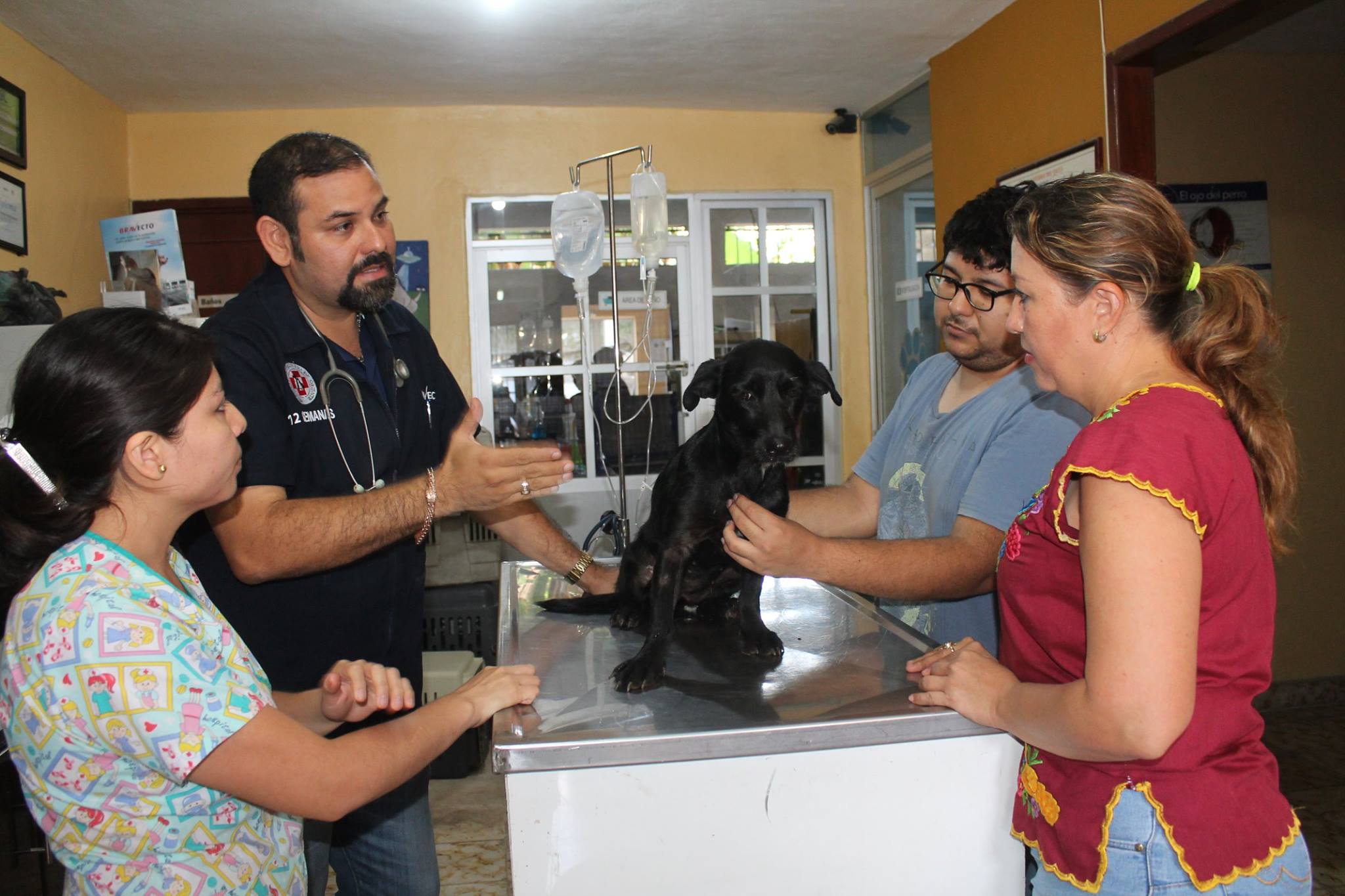 Encuentran a la 'perrita' que fue pateada por un corredor