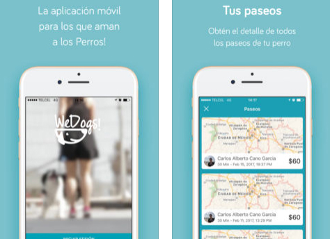 La aplicación permite al usuario rastrear por GPS el paseo de su perro. 