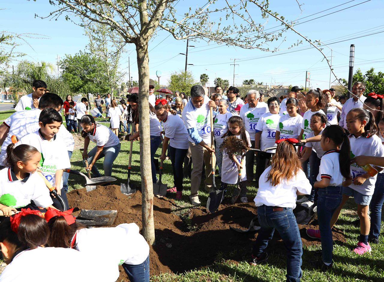Se plantaron 90 encinos y 10 naranjos.
