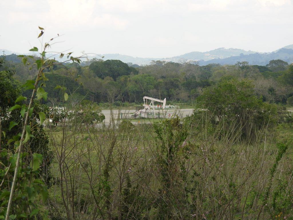 Las demarcaciones afectadas en un 80 y 99 por ciento en su territorio son siete.