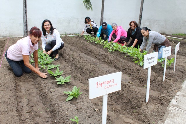 El Instituto de la Mujer en Tampico, enseña a mujeres a cultivar.