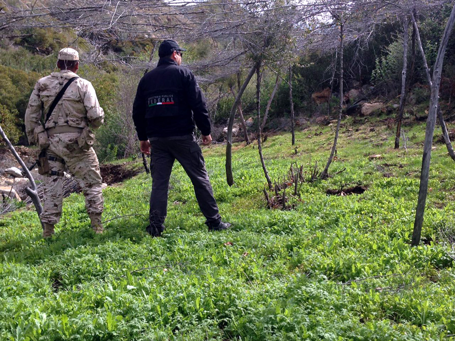 En el lugar elementos de la SEDENA se enfrentaron a un grupo de desconocidos que resguardaban el lugar.