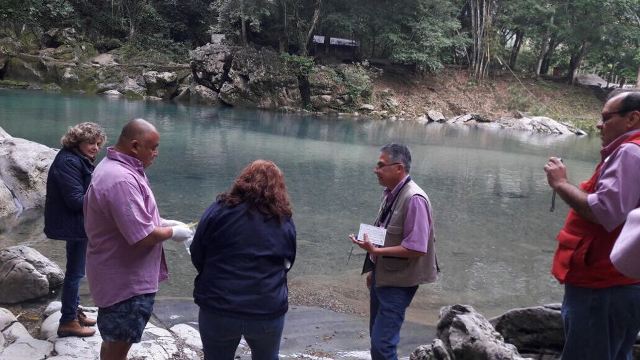 Inspectores de la Secretaría de Salud en operativos de verificación. 