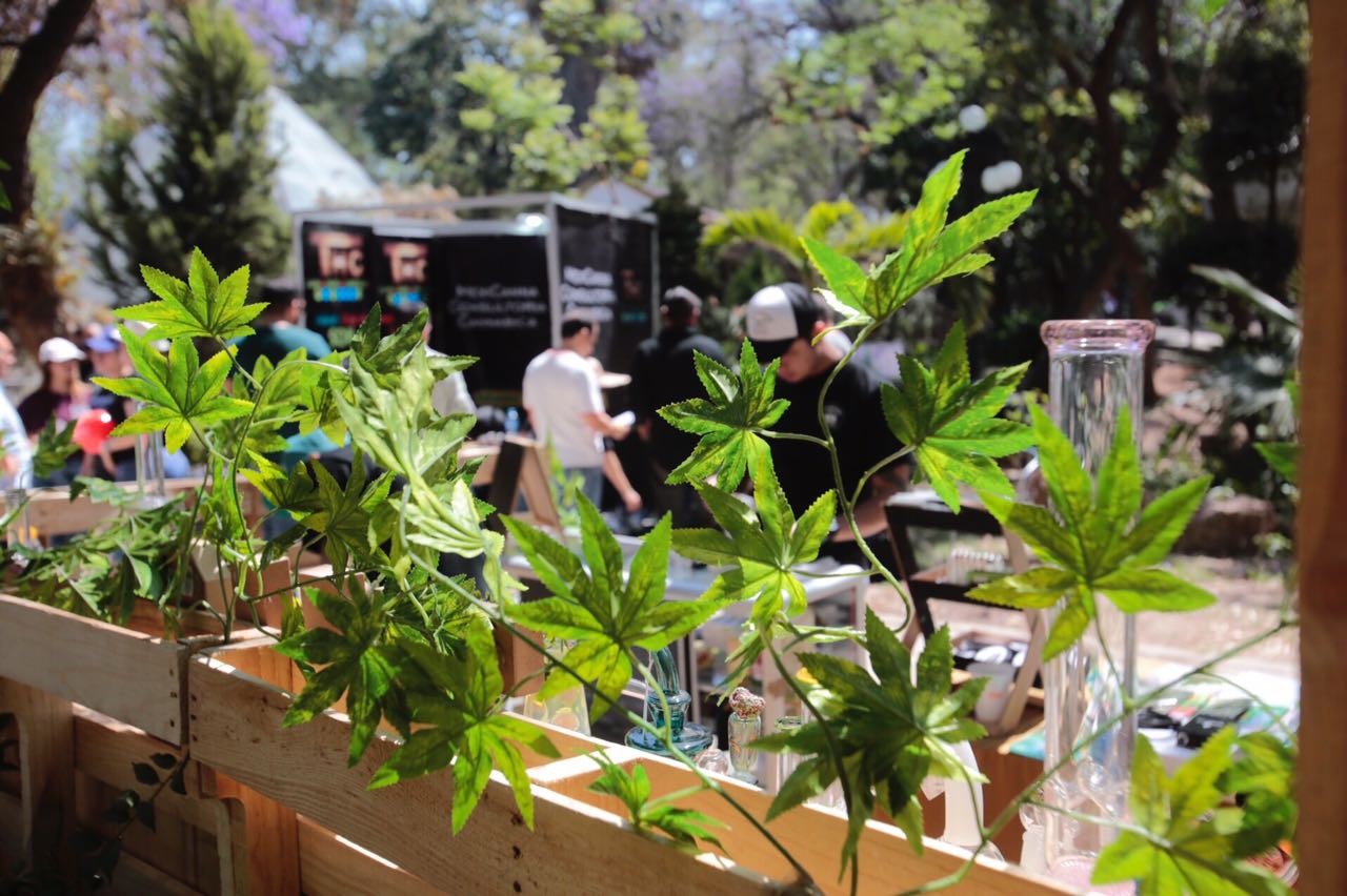 El Cannafest 2018 promueve información relacionada sobre el consumo, riesgos y beneficios del cannabis. 