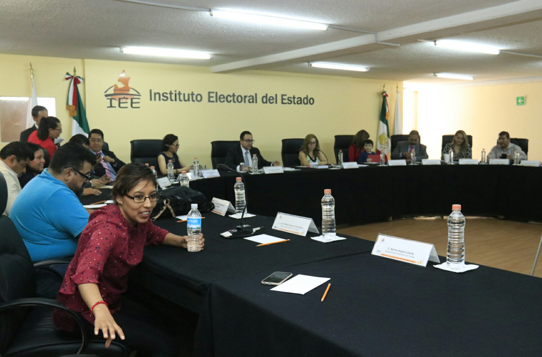 El Consejo General del Instituto Electoral del Estado (IEE) tiene hasta el 20 de abril para pronunciarse sobre los registros de los aspirantes.