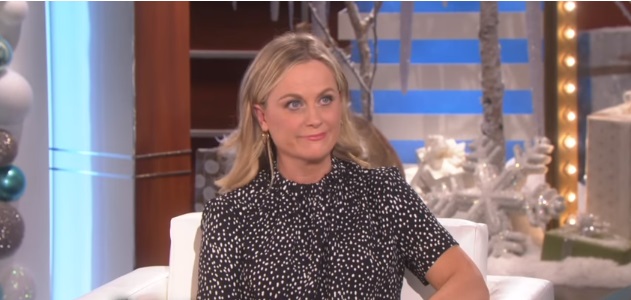 Amy Poehler debutará como directora en Netflix.