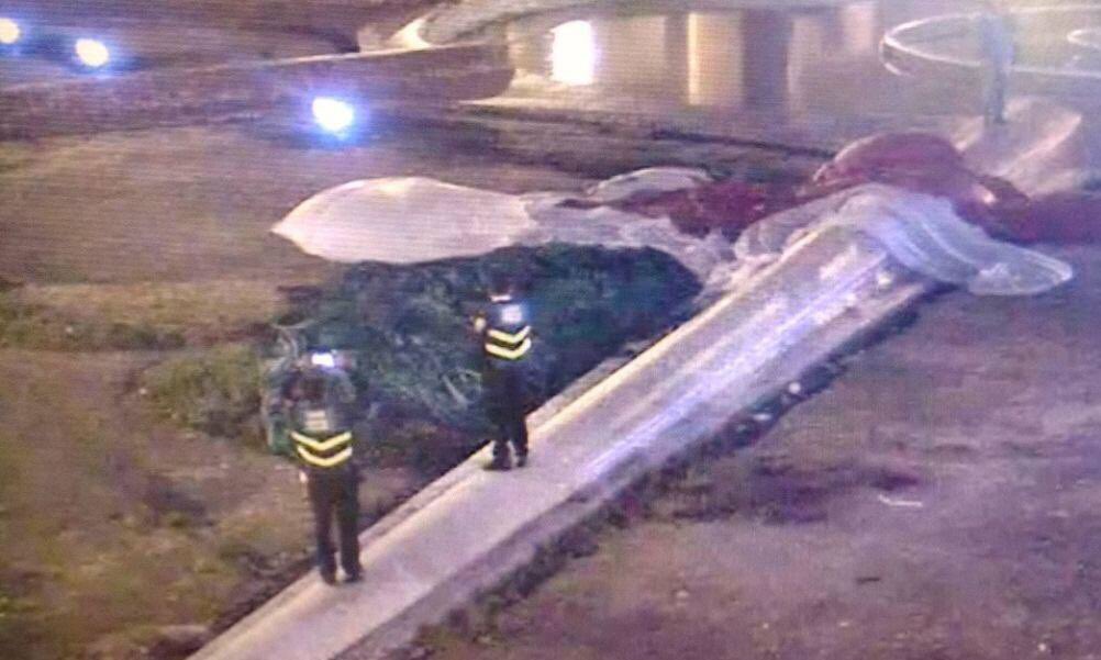 El lábaro patrio cayó luego de las fuertes lluvias que cayeron en la Magdalena Contreras.