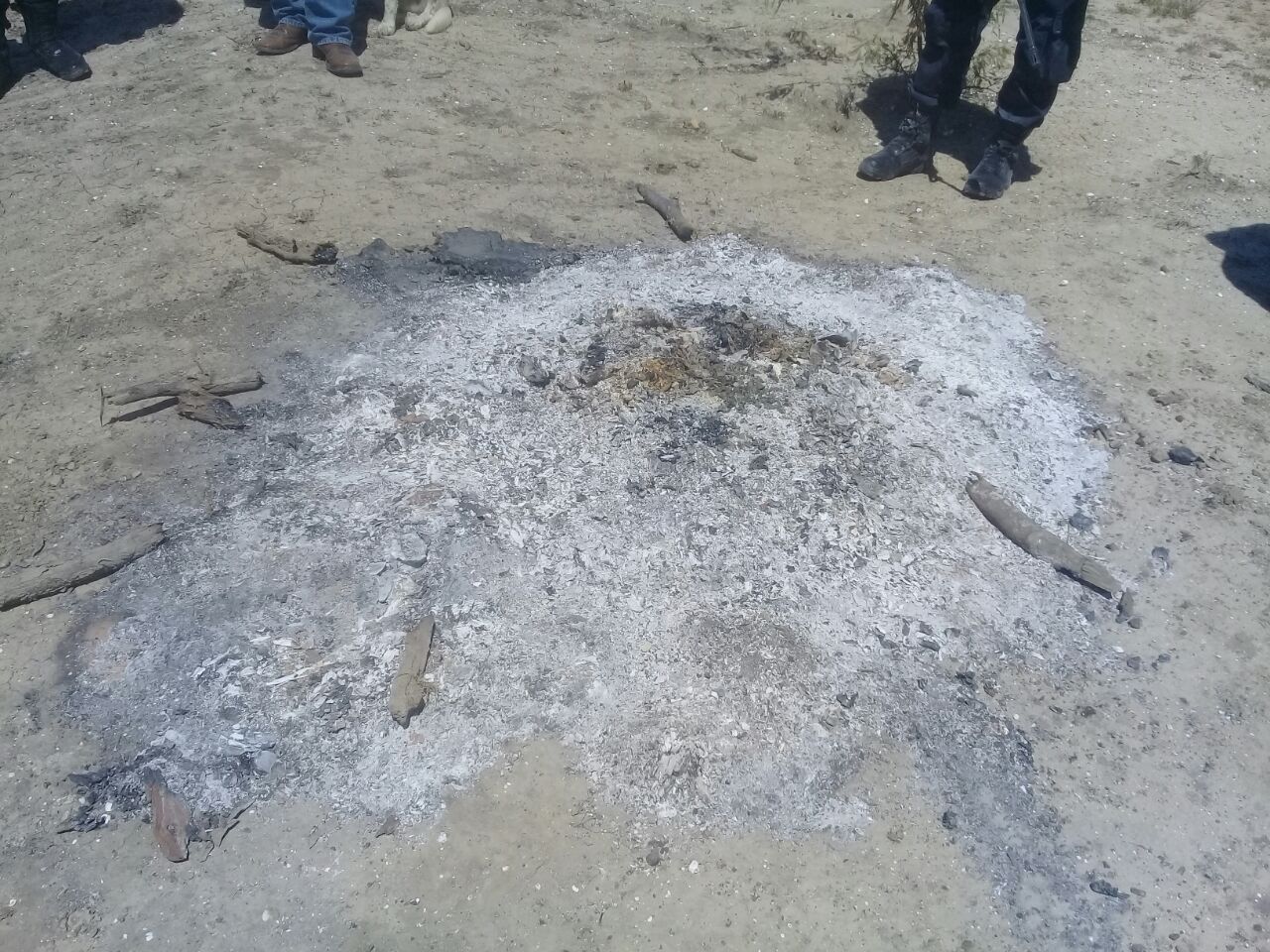El reporte a las autoridades lo hizo el juez auxiliar en la comunidad rural Esquina del Potrero.