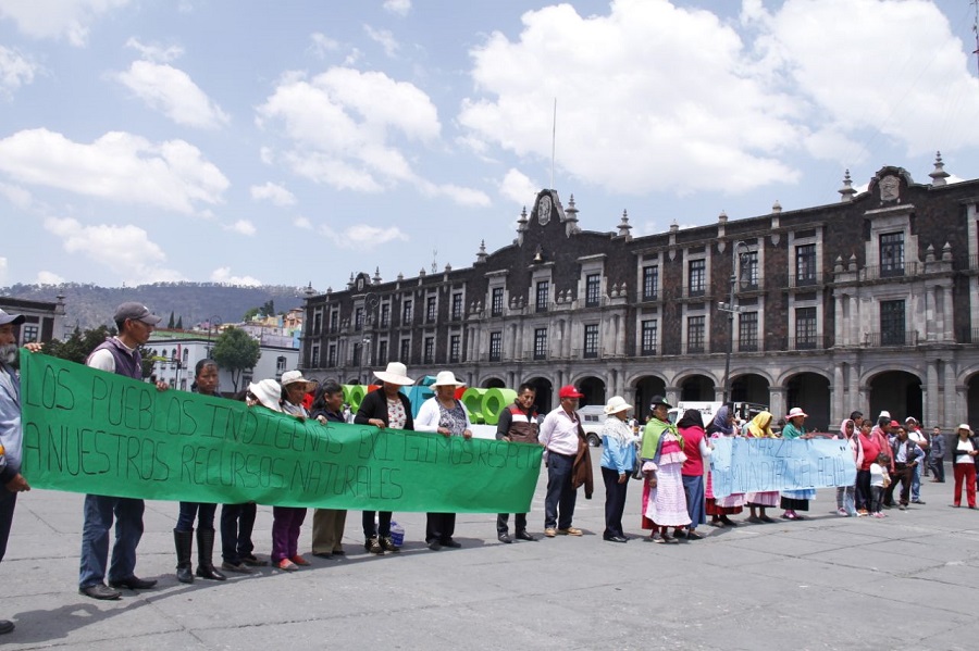Durante la manifestación. 