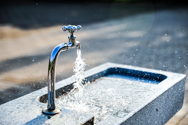 El lema del Día Mundial del Agua de este año es 'La respuesta está en la naturaleza".