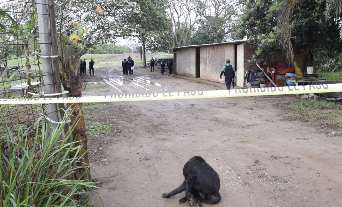 Los cuerpos fueron dejados dentro de la bodega, ubicada en Xalapa.