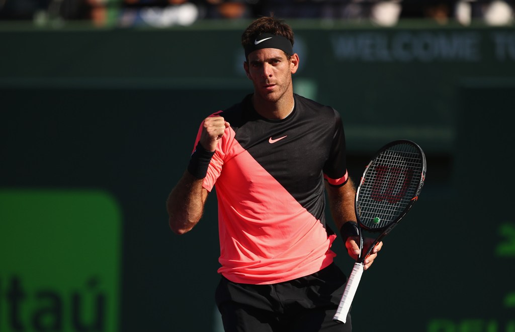 Juan Martín del Potro