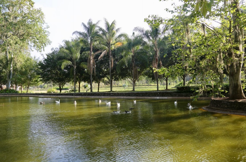 El rancho contaba con un lago artificial.