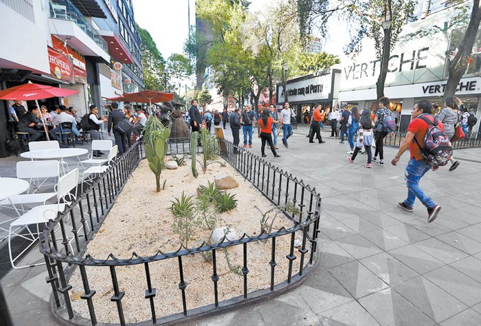 Hay zonas peatonales con áreas verdes y espacio para clientes de diversos comercios.