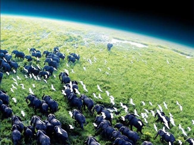 Portada del documental 'Planet Earth'