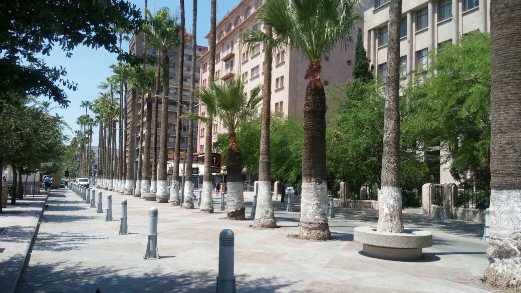 El titular de la dependencia mencionó que comenzarán a trabajar en cuanto se tenga el presupuesto.