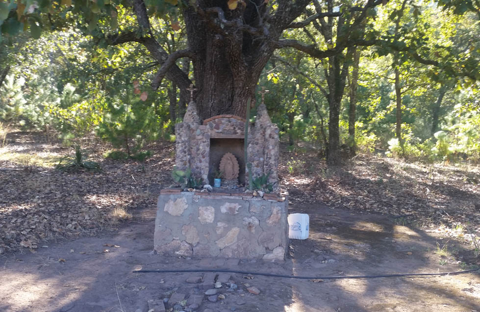 Un altar en medio del bosque, en las inmediaciones de la Sierra de Bolaños. Disputas entre Dios y secularización