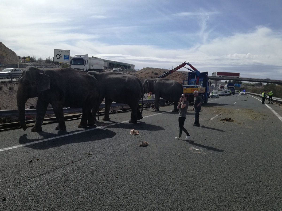 La carretera A-30 en España quedó bloqueada durante unas tres horas.