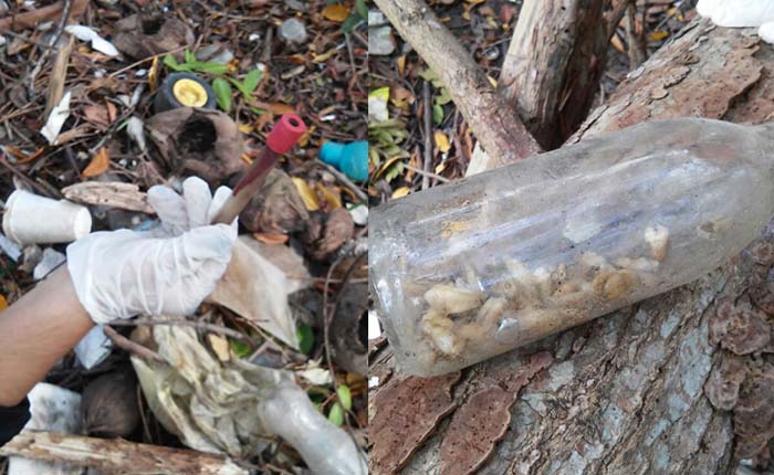 Dientes humanos y desechos médicos tiran la laguna del Carpintero.