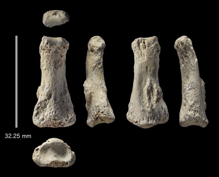 Este hallazgo sitúa el éxodo africano del Homo sapiens varios miles de años atrás.