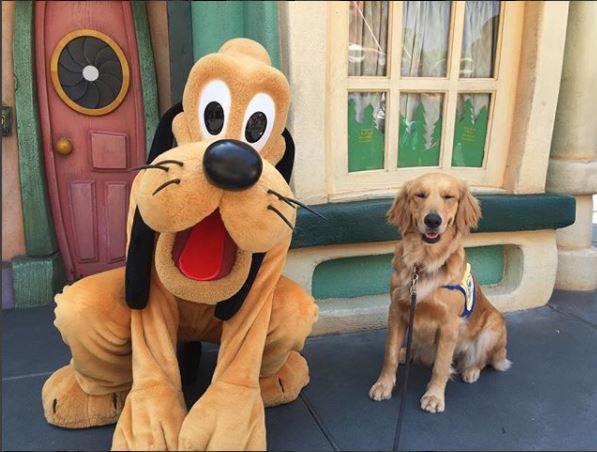 Los perritos conocieron a uno de sus ídolos: Pluto.