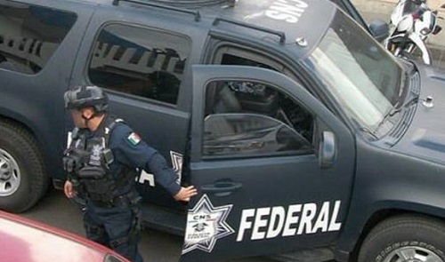Las autoridades iniciaran un proceso legal. 