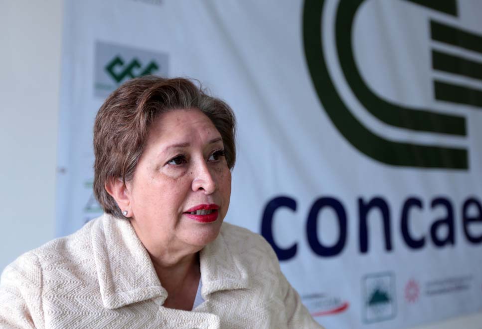 No se puede privilegiar a nadie, dijo.