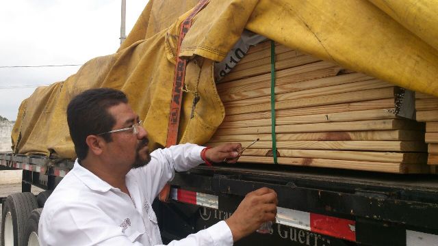 La plaga en madera era transportada en un tráiler.