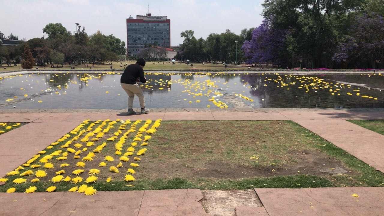Los alumnos colocaron flores en la zona conocida como el Espejo de Agua.