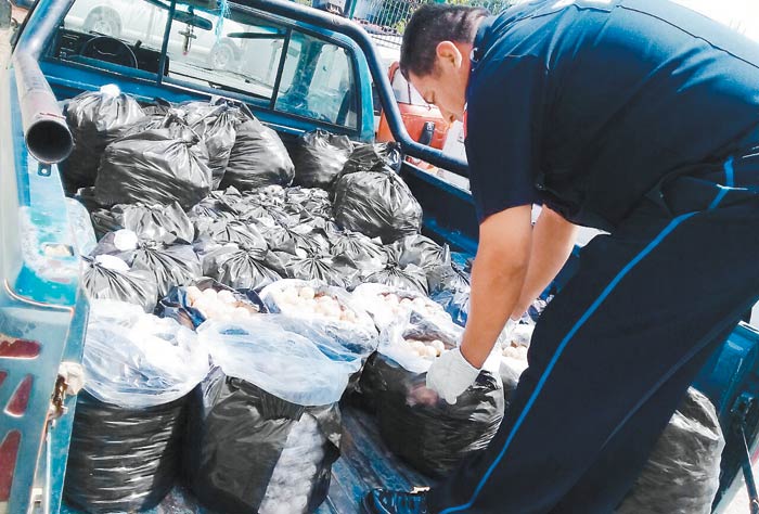 Federales descubrieron el contenido en 57 bolsas.