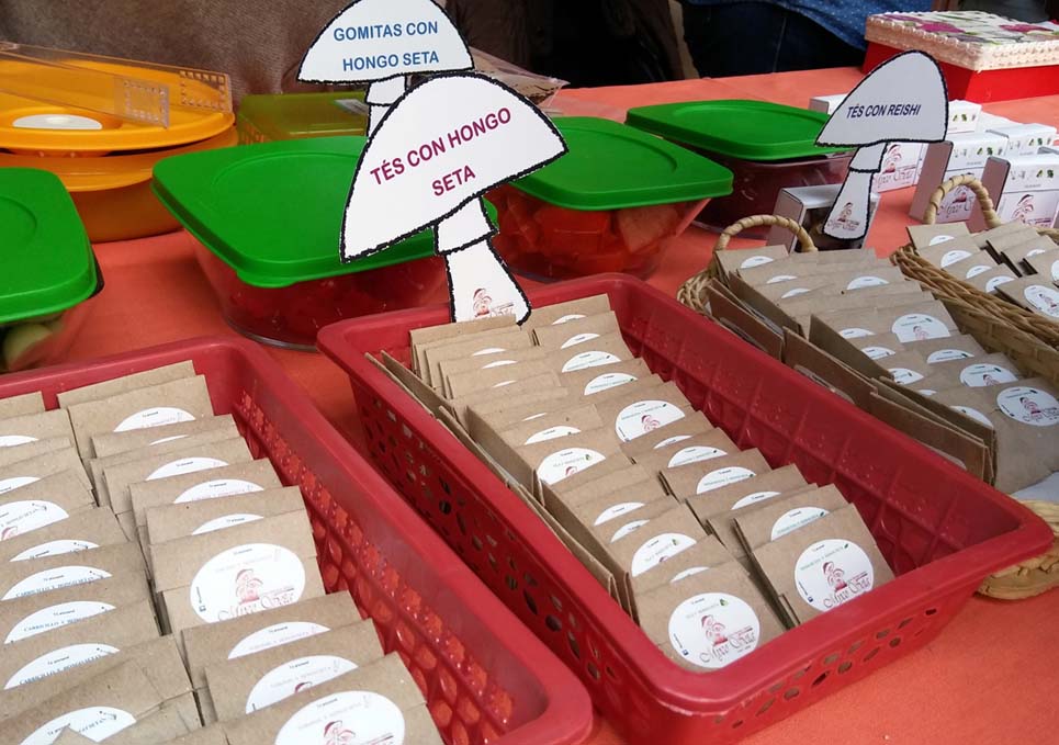 Son fundadoras de la empresa Myco Seta que fabrica productos artesanales.