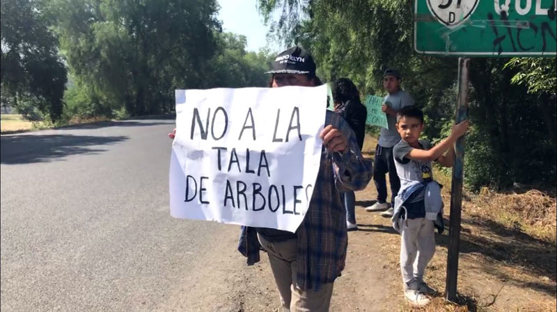 Los inconformes exigieron no efectuar la tala de árboles para el proyecto, por el impacto adverso que dicha acción causaría en el medio ambiente.  (Fo