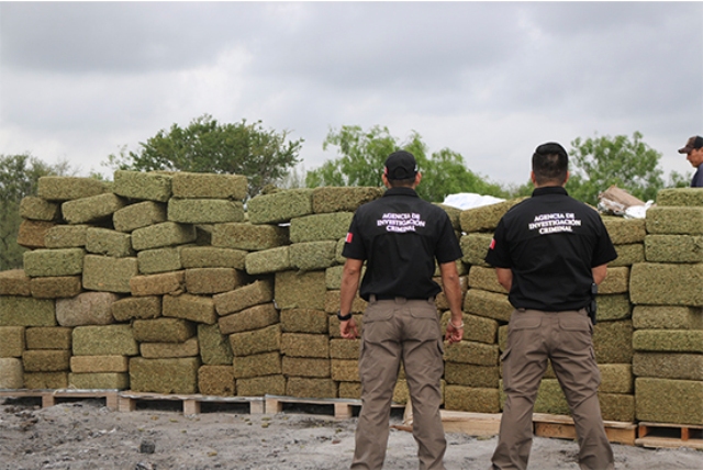Las diversas toneladas de droga fueron destruidas por agentes de la PGR.