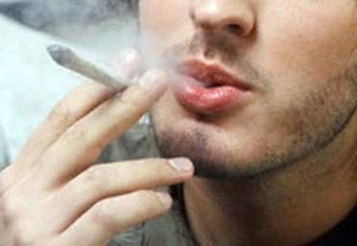 La organización Semáforo Delictivo dijo que la propuesta de amnistía podría funcionar si va acompañada de una política para regular las drogas.