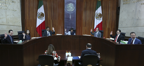 Tribunal Electoral del Poder Judicial de la Federación.