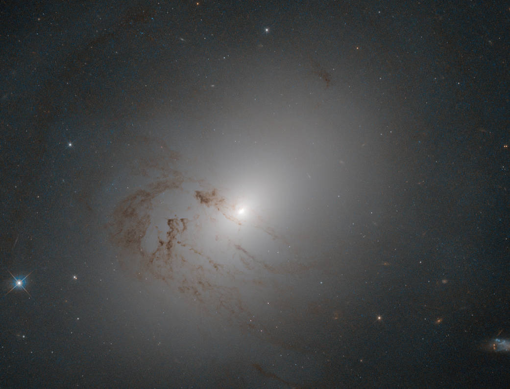 La galaxia NGC 2655 fue descubierta en 1802 por el astrónomo William Herschel. (ESA / Hubble & NASA / A. Fillipenko)