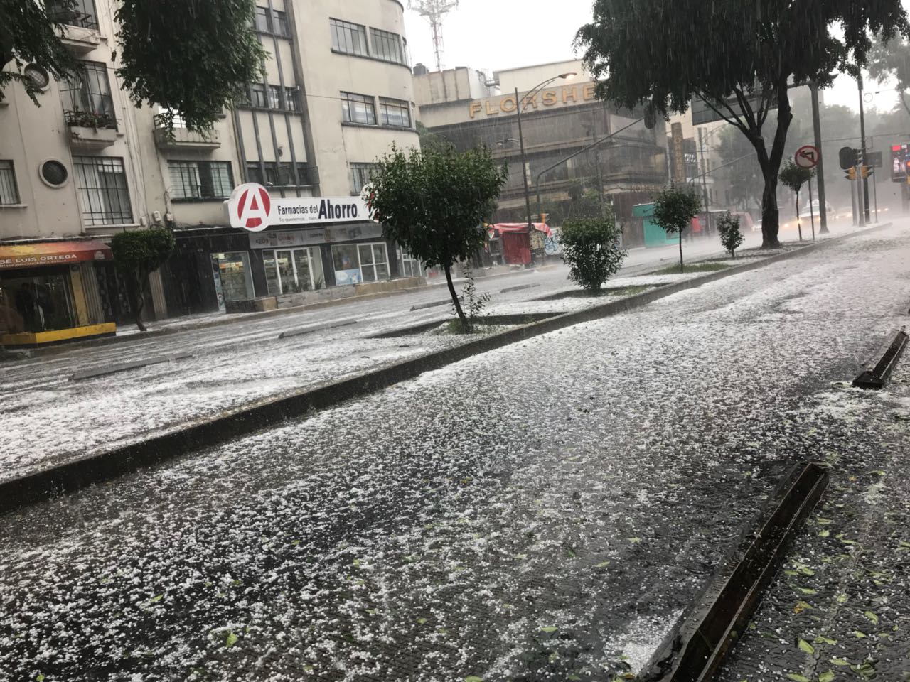 Las autoridades informaron que hay lluvia con caída de granizo en cuatro delegaciones.