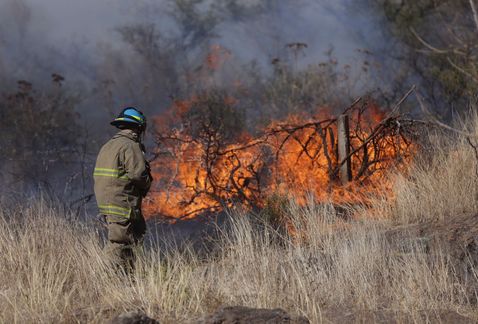 Cerca del 98 por ciento de los incendios forestales que se presentan en Jalisco son provocados