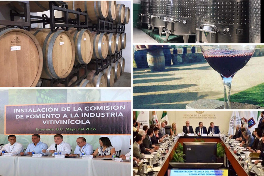 El Congreso aprobó  la nueva ley sobre el Fomento a la Industria Vitivinícola