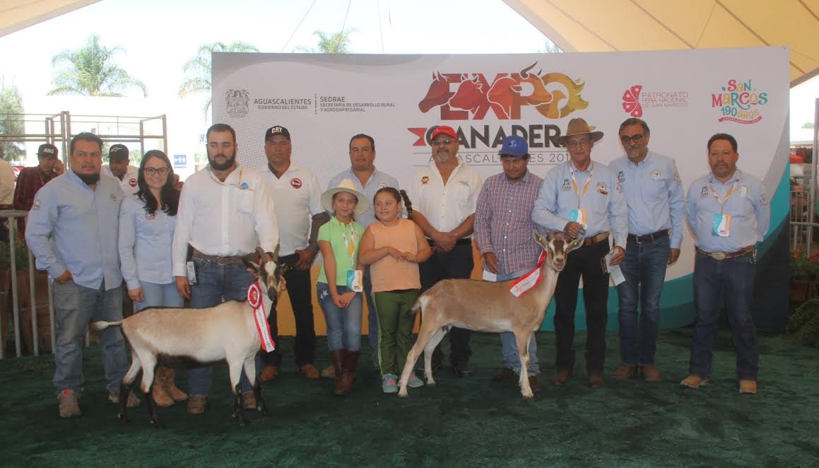 La Campeona y el Campeón de la raza Saanen fueron para el Rancho El Chompiras de Guanajuato.