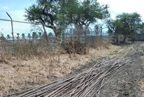 Cortesía