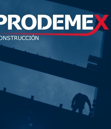 Construye en sectores como salud, turismo, comunicaciones y transportes, medio ambiente, entre otros. La familia también es dueña de Grupo Empresarial Ángeles, que controla los hoteles Camino Real, Hospitales Ángeles y Grupo Imagen Multimedia.